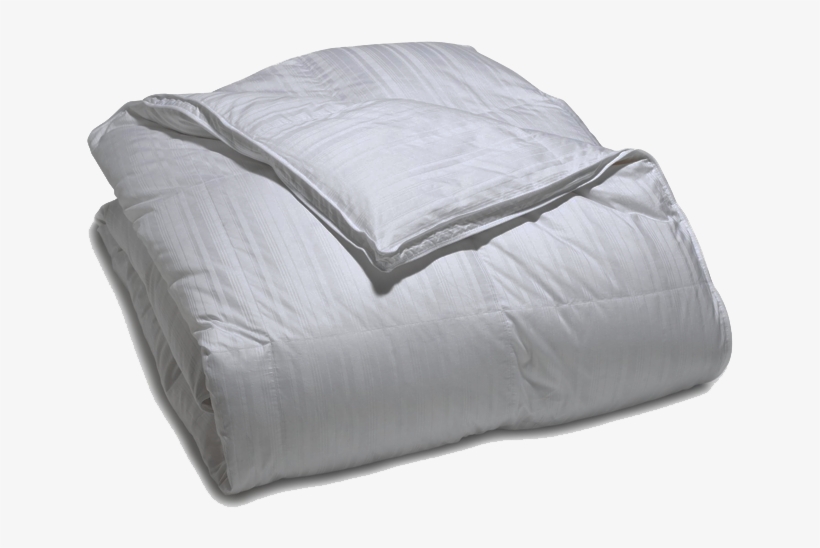 Prev - Comfort, transparent png #7662969