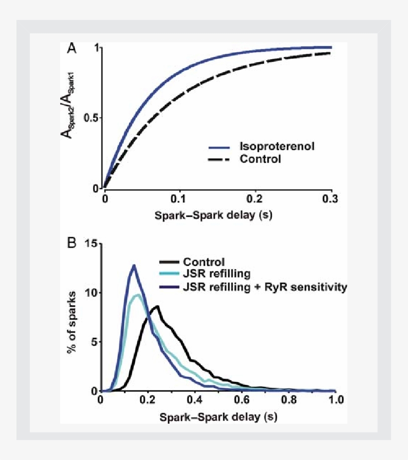 Simulations Of B-adrenergic Stimulation - Diagram, transparent png #7664527