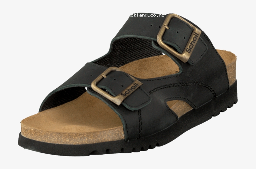 Scholl Moldava Wg Ad Oiled 16014-00 Womens Leather - Scholl Moldava Wg Ad Oiled Shoes, transparent png #7665740