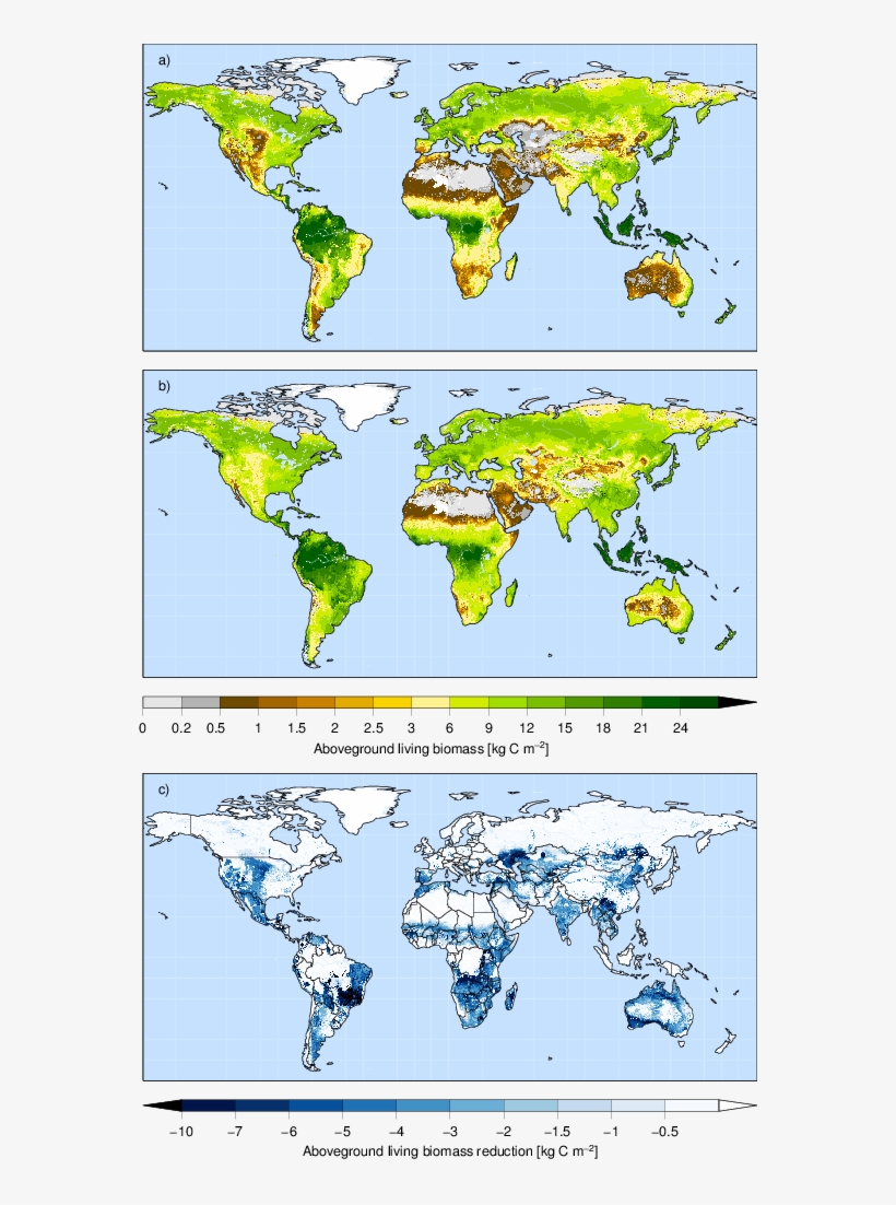 Simulated Biomass C - World Map, transparent png #7665820
