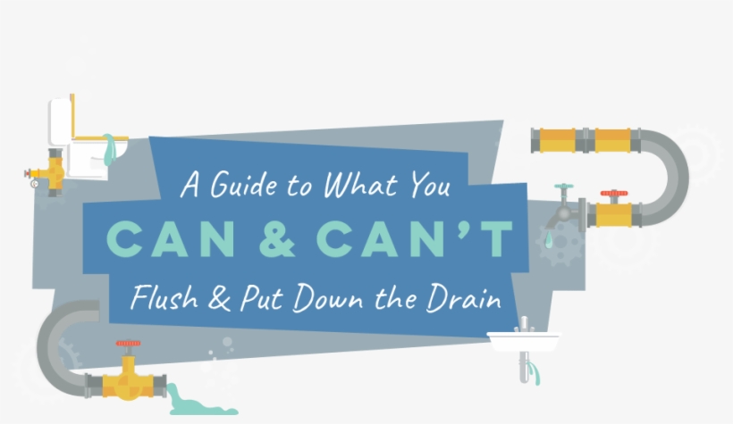 A Guide To What You Can & Can't Put Down The Drain - Graphic Design, transparent png #7666381