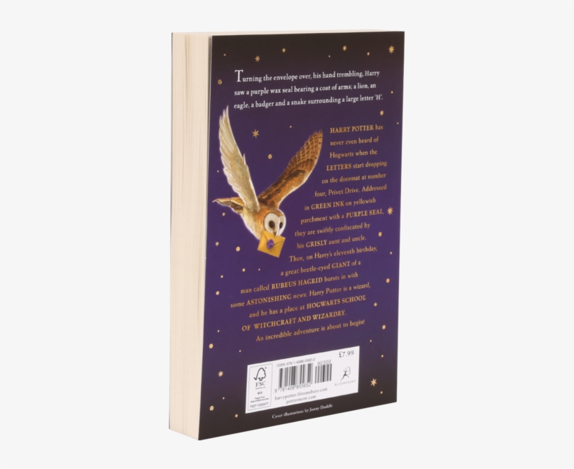 Barn Owl, transparent png #7666609