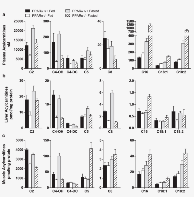 Download - Diagram, transparent png #7666665