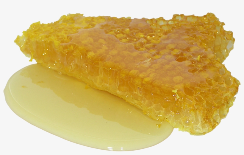Honey, Honeycomb, Sweet, Distributional Effects, Sugar - Honeycomb Color Palette, transparent png #7666892