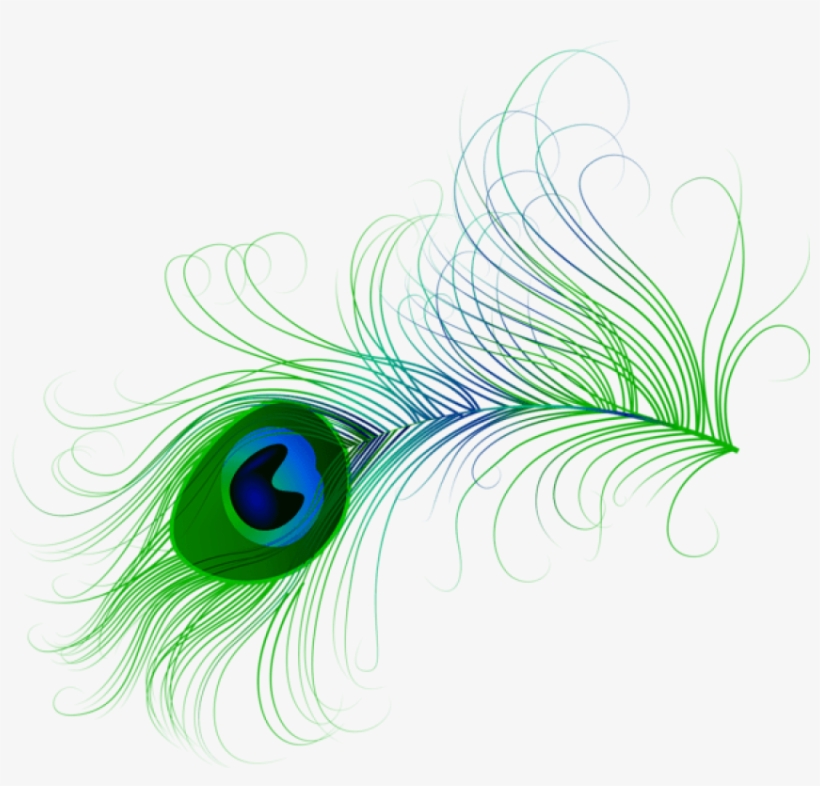 Free Png Download Peacock Feather Clipart Png Photo - Peacock Feather Clipart Png, transparent png #7667911