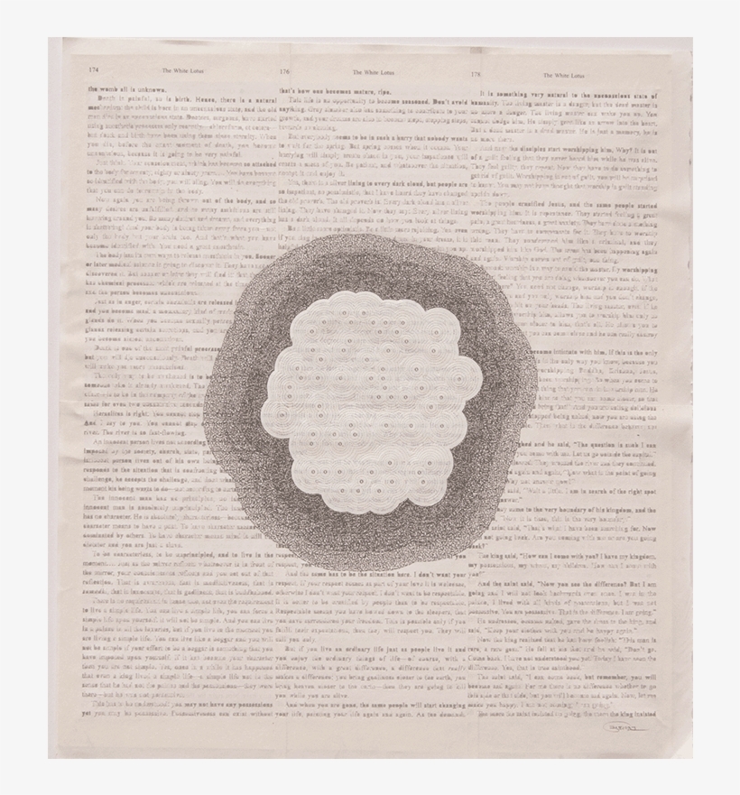 » The White Lotus - Document, transparent png #7668466