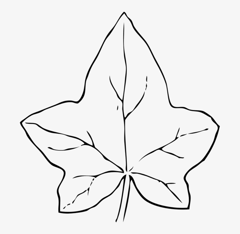 Fall Leaves Clip Art Black And White - Pumpkin Leaf Clip Art, transparent png #7669018