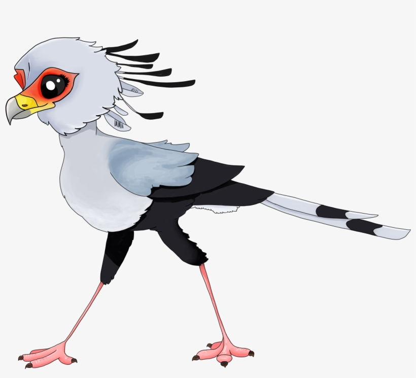 Boy Photo2 - Budgie, transparent png #7670953