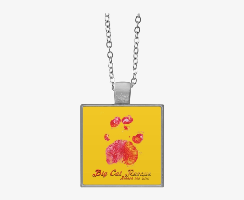 Necklace, transparent png #7671493