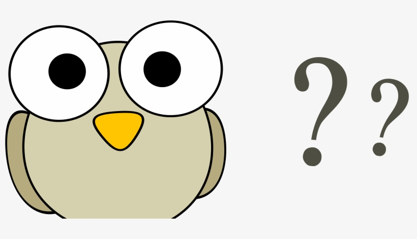 Why Do Birds - Owl Question Mark, transparent png #7671920