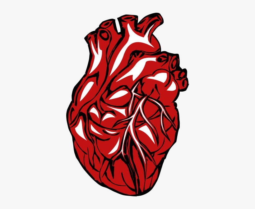 Real Heart Png Clipart - Heart Disease Icon, transparent png #7672133