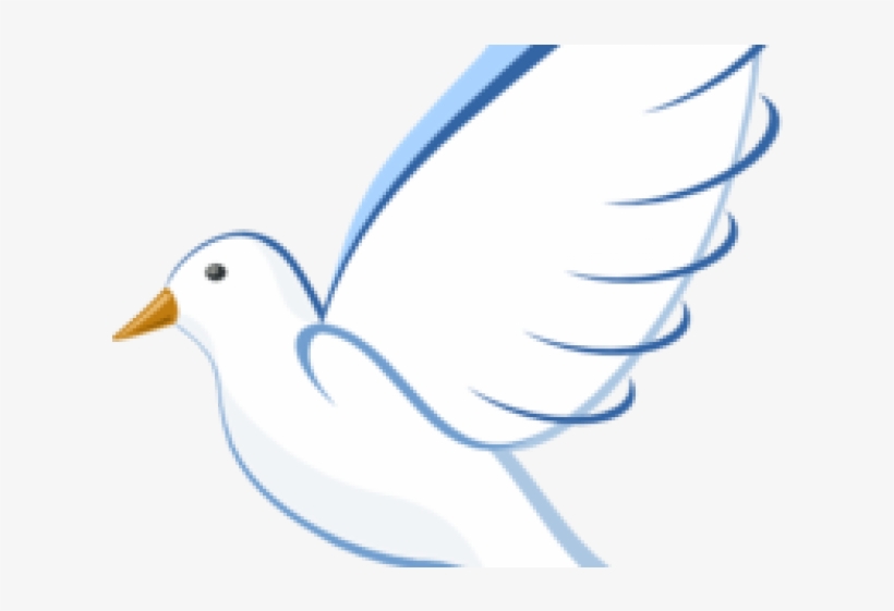 White Dove Cliparts - Dove Clip Art, transparent png #7673059