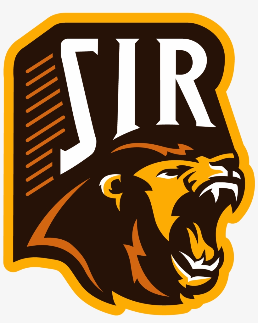 Brown Lion, transparent png #7674423