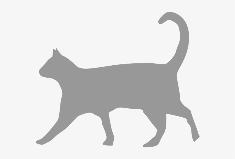Adult - Micush Illustration, transparent png #7675156