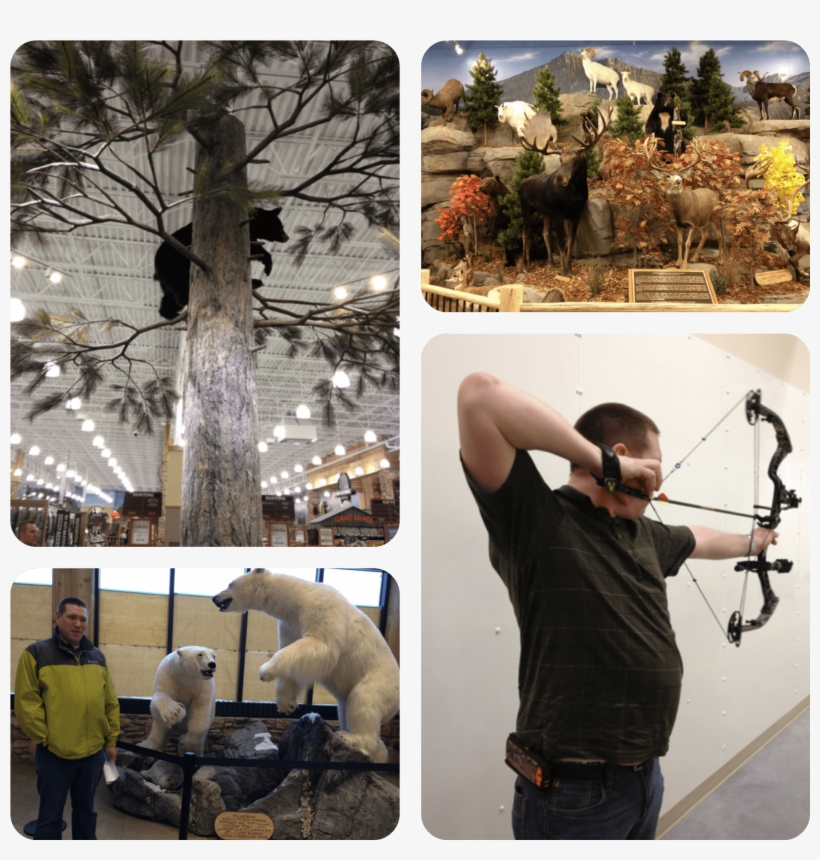 Field Archery, transparent png #7675751