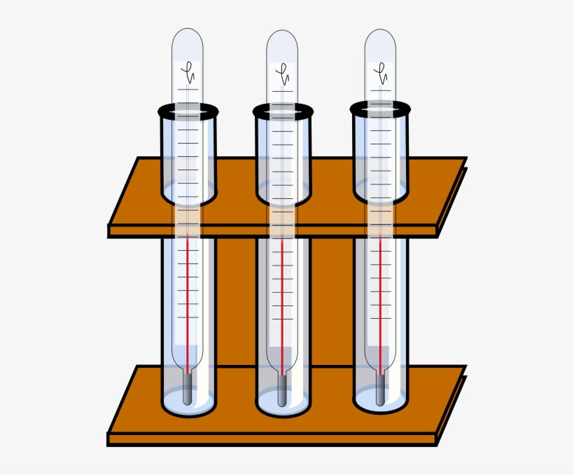 Test Tube Holder With Test Tubes, transparent png #7676380