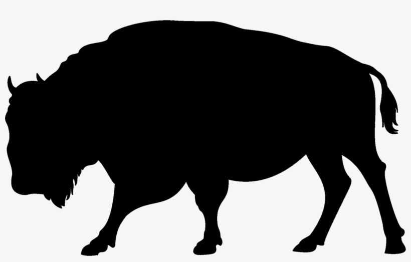 Bison Bock - Bison Silhouette, transparent png #7677044