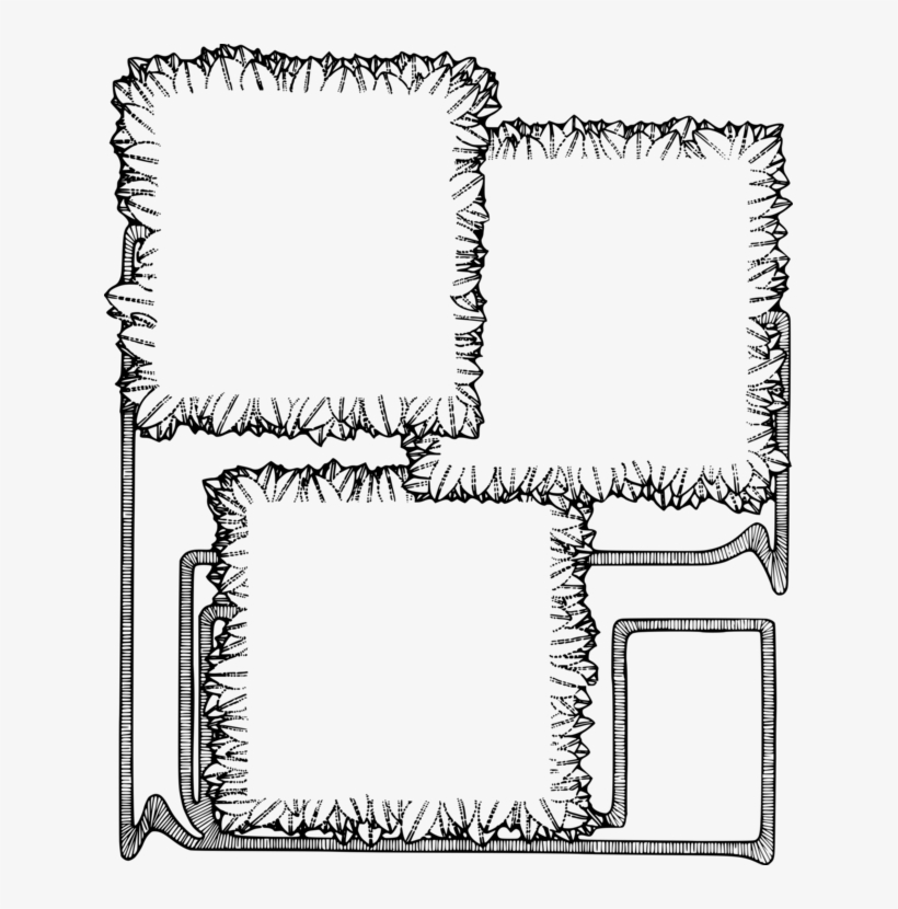 Flower Picture Frames Tulip Petal Plant Stem - Line Art, transparent png #7677303