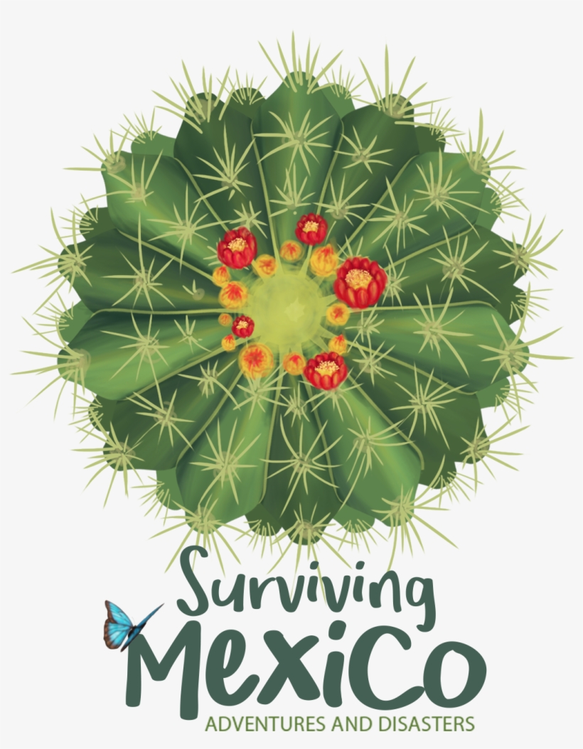 Home Page - Surviving Mexico, transparent png #7677625