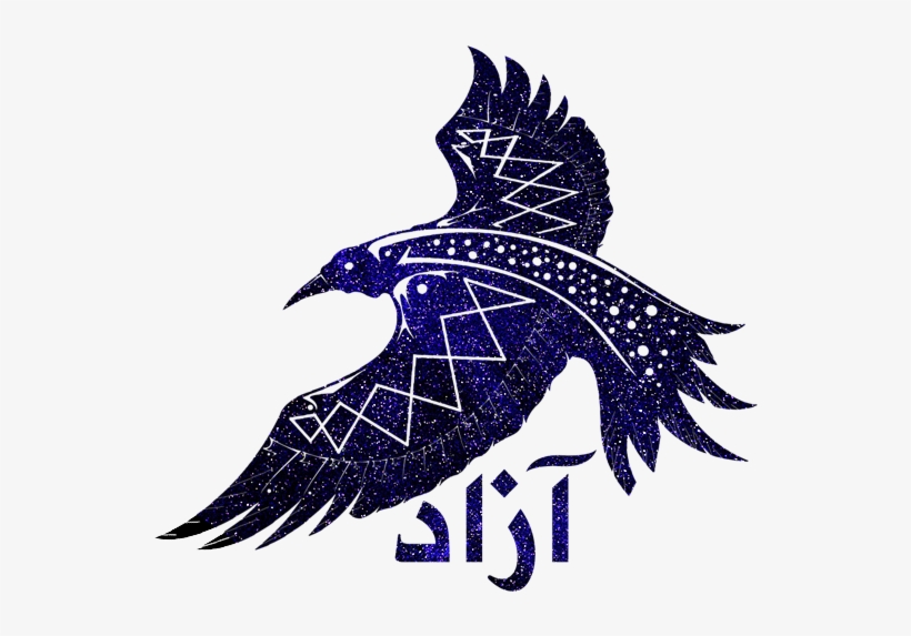 Azad Kawwa - Accipitriformes, transparent png #7677828