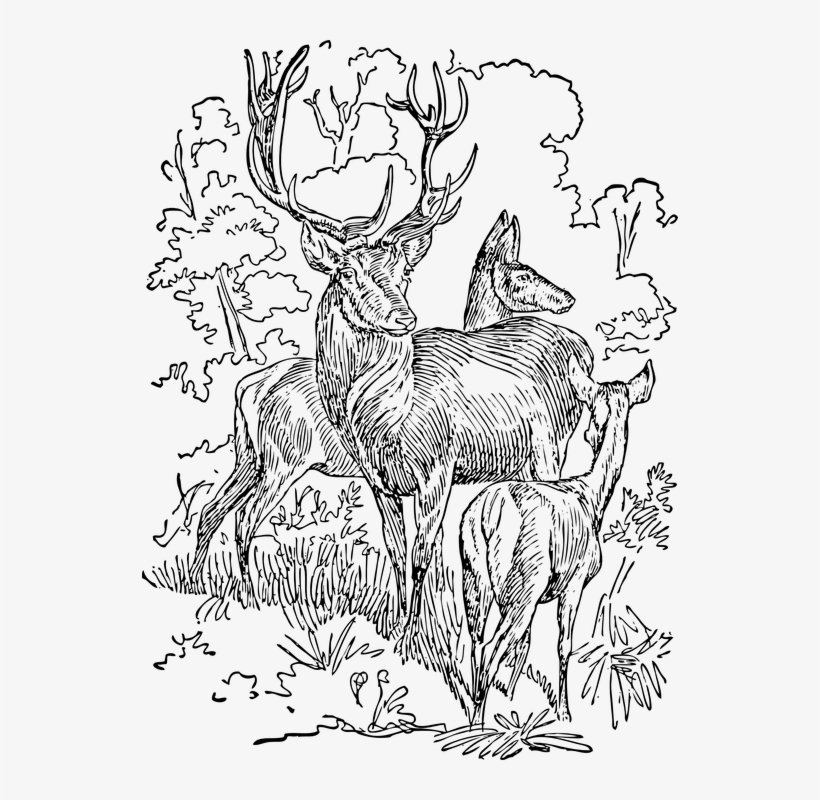 Arts Outline, transparent png #7678202