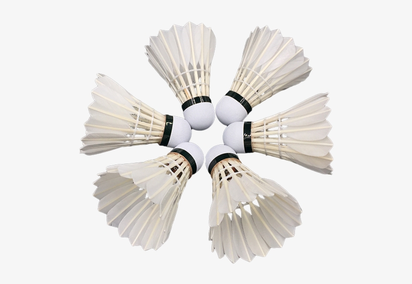 Best Price Badminton Shuttlecock Linton Tourney - Badminton, transparent png #7678606