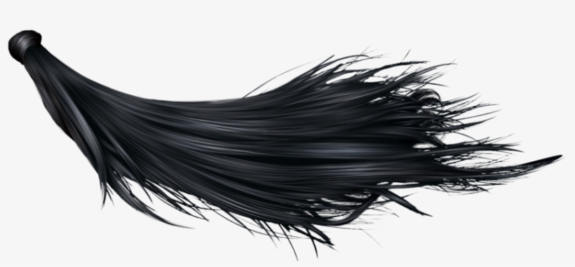 Black Hair Png, transparent png #7678940
