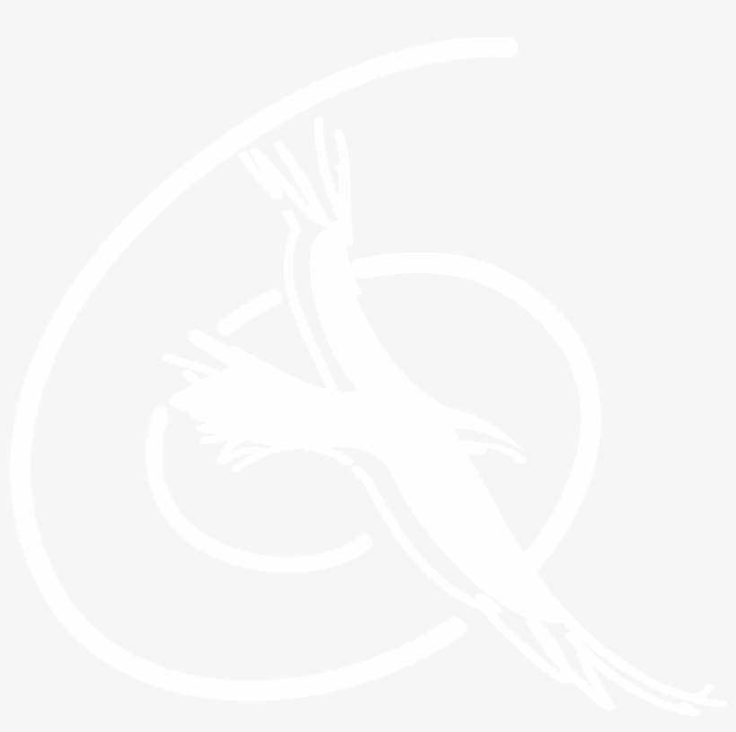 1047 X 1008 0 - Illustration, transparent png #7679333