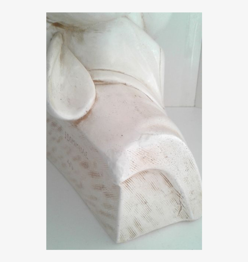 Bust, transparent png #7679529