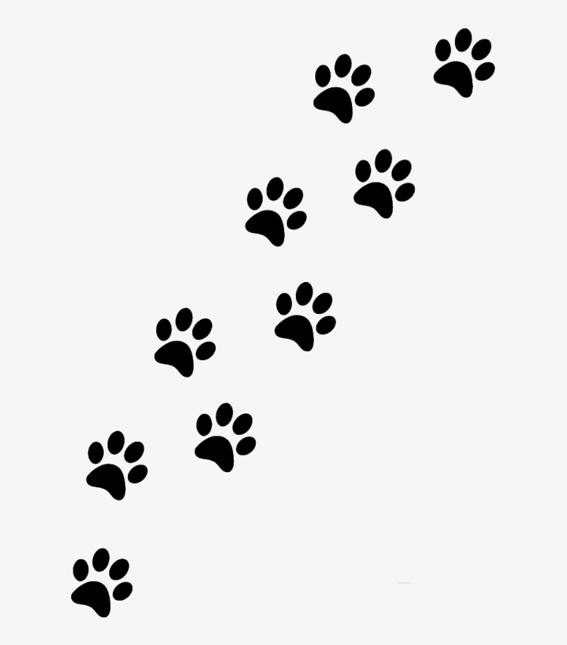 Pawprints Sticker - Paw, transparent png #7680221