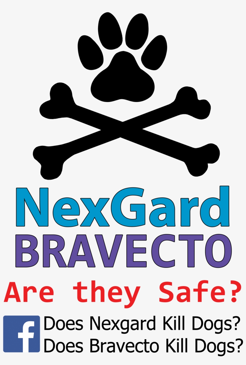 File A4 With Transparent Background - Poster, transparent png #7680263