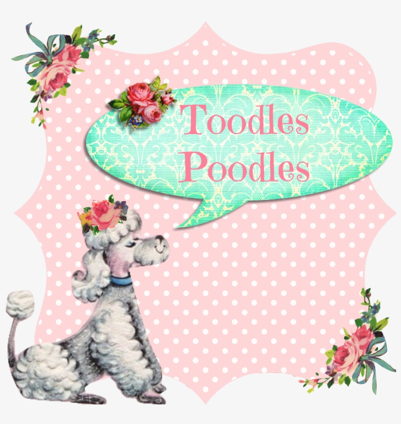 What About You Poodles Do You Have Any Hoarding Confessions - Illustration, transparent png #7681557