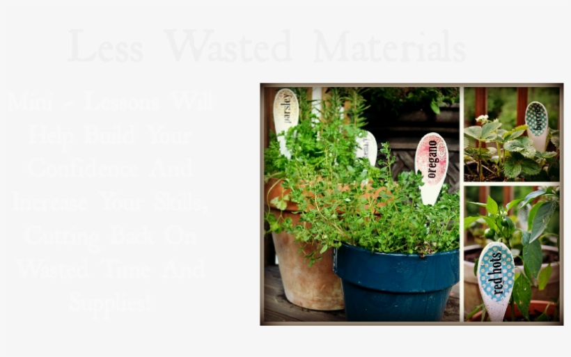 Nikki In Stitches Craft Academy - Plantation, transparent png #7682302