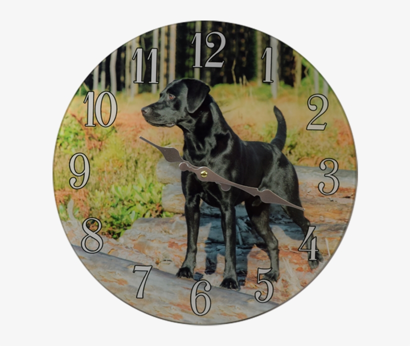 Categories - หมา พันธุ์ ตัว ใหญ่, transparent png #7683068