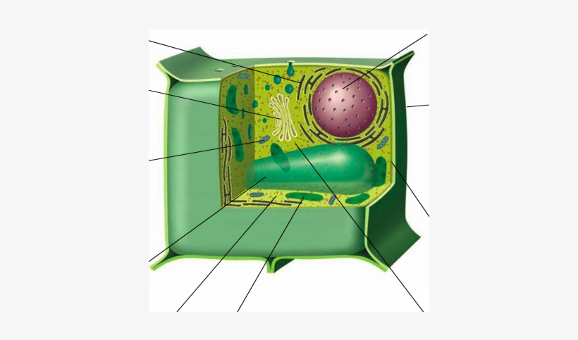 Location - Hutch, transparent png #7683912