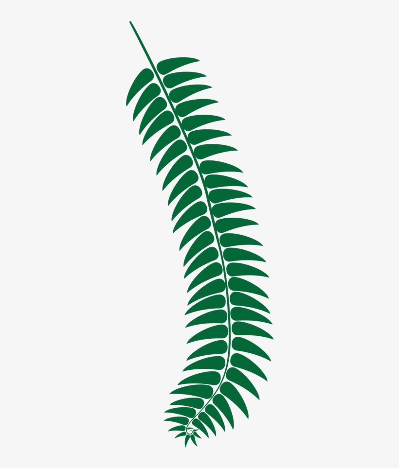 Fern Dark Green - Fern, transparent png #7684386