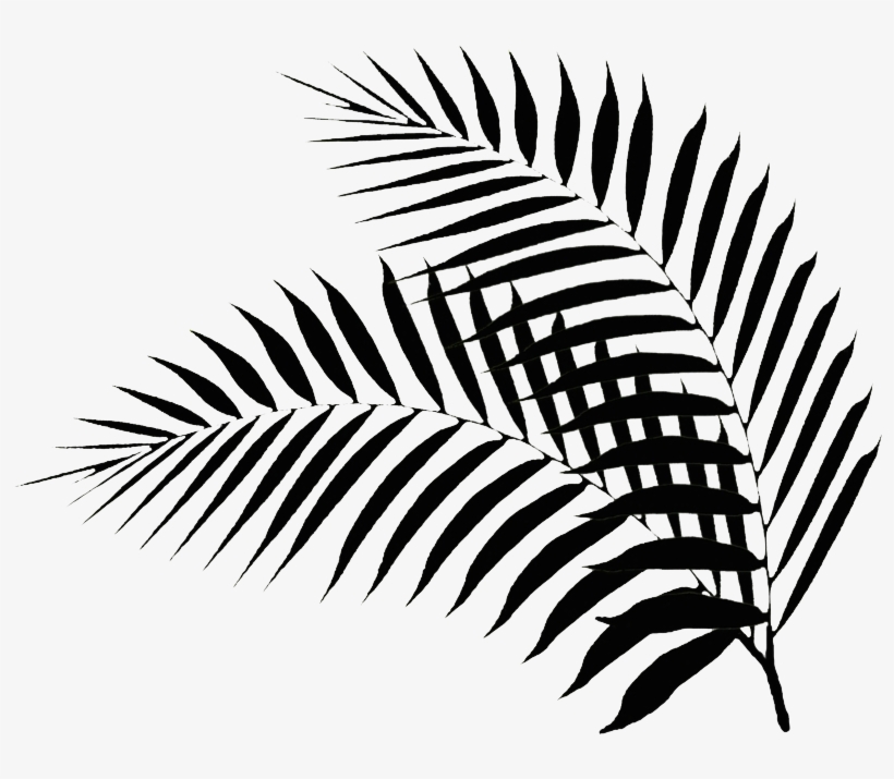 Black Palm Leaf - Black Palm Leaf Png, transparent png #7684652