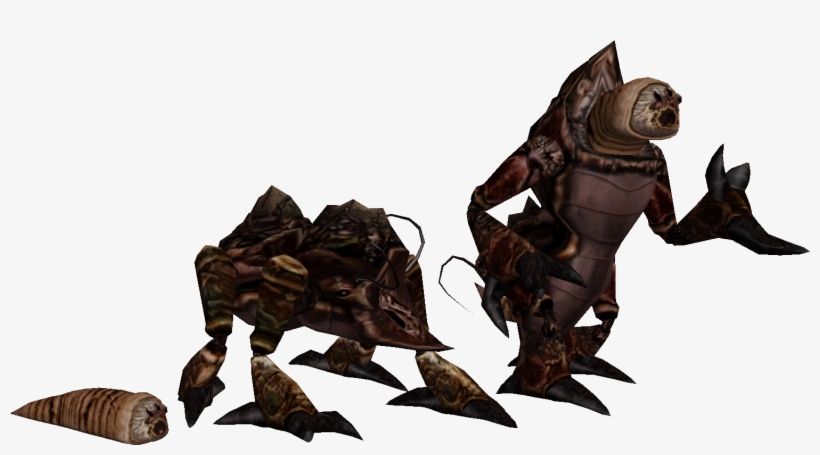 Mundane Flora And Fauna [archive] - Morrowind Kwama, transparent png #7684907