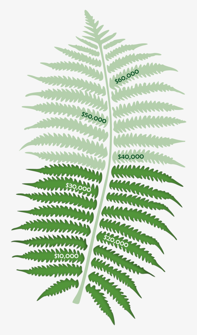 We Are Approaching Our Goal And You Like To Thank Everyone - Fern Leaf Stencil, transparent png #7685189