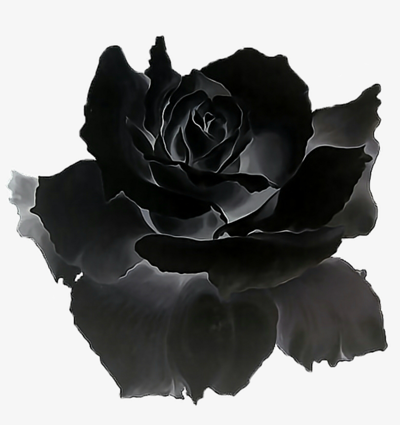 Black Roses Gif, transparent png #7685265