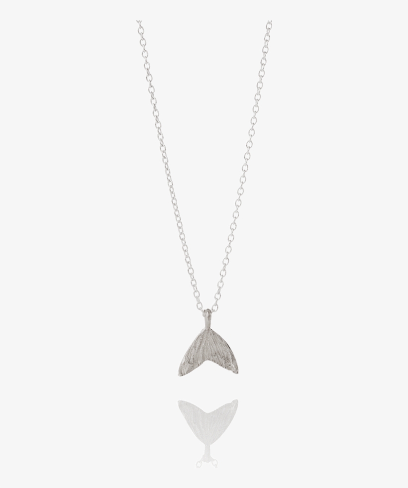Lax Necklace, transparent png #7685381