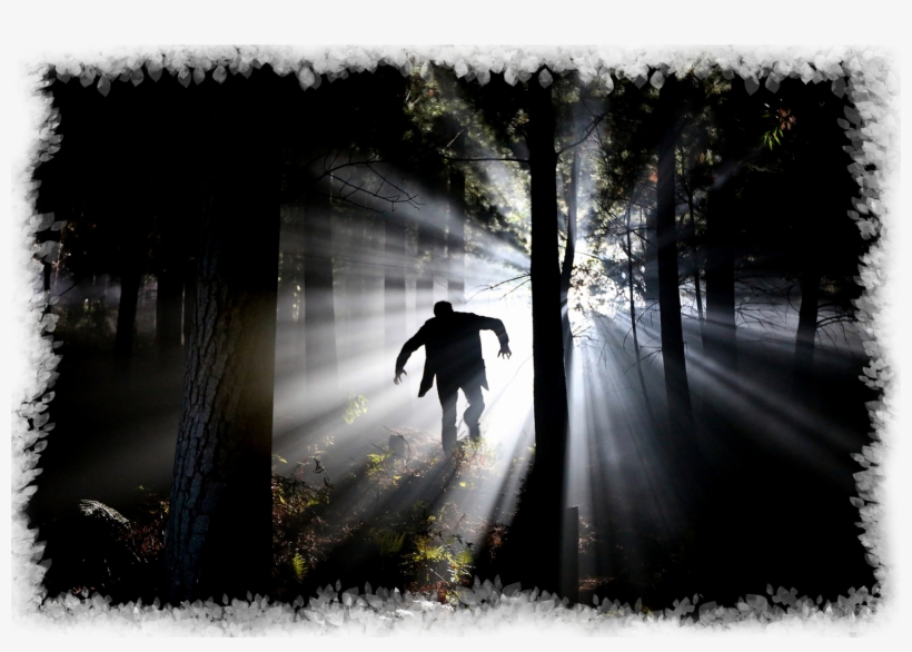 In 1813, Jacob Grimm Wrote Down This Spooky Story In - Man Running In Forest Night, transparent png #7685499