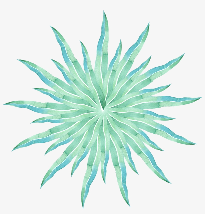 Simple Creative Stylish Watercolor Png And Psd - Agave Azul, transparent png #7686244
