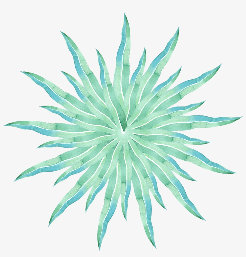 Simple Creative Stylish Watercolor Png And Psd - Agave Azul, transparent png #7686244