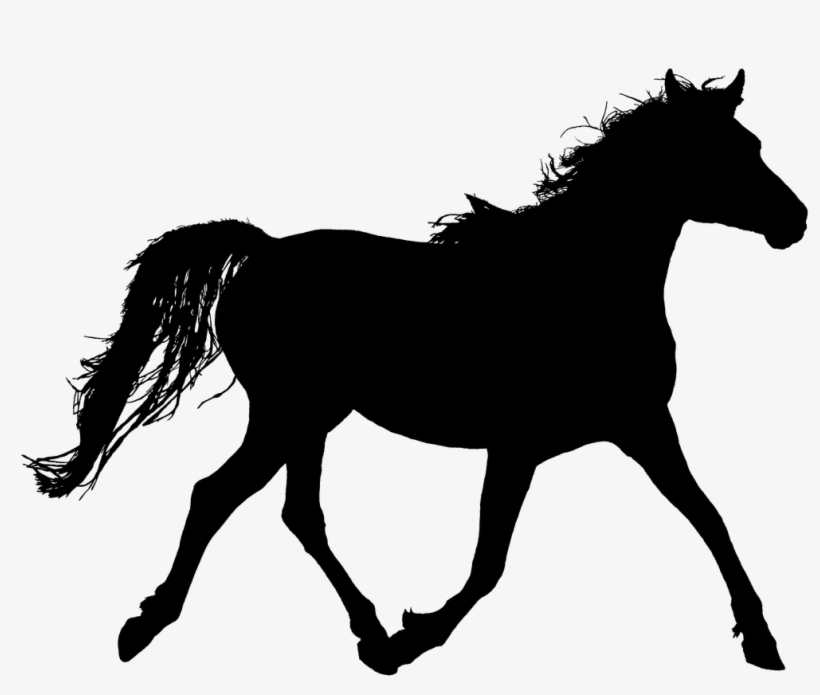 And - Desenho Todo Preto De Animais, transparent png #7686485