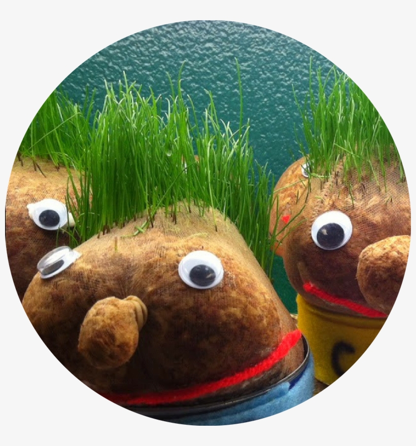 Grass Pets - Mar, transparent png #7686525