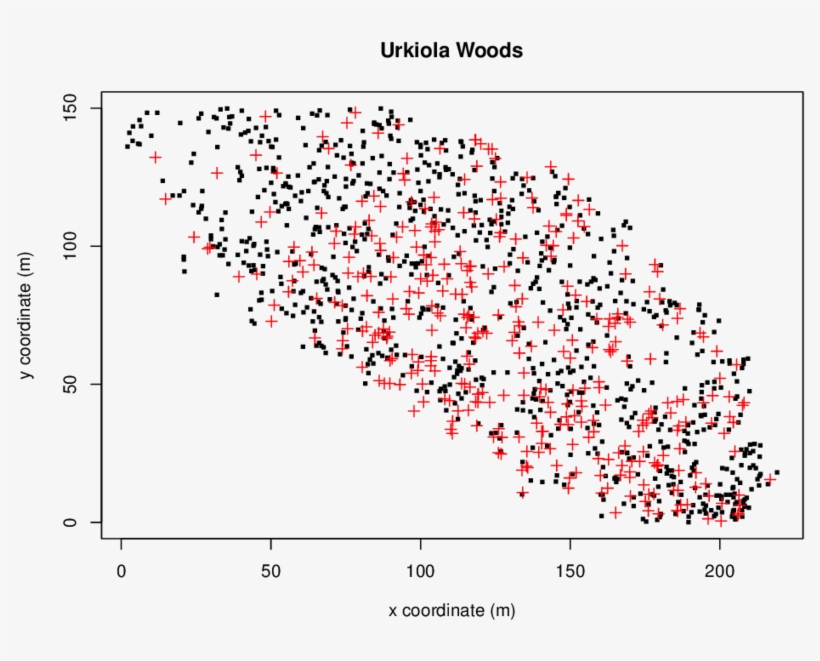 The Scatter Plot Of The Locations Of Birch Trees , - Diagram, transparent png #7687753