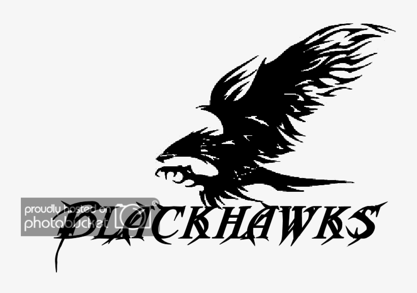 Hawk Logo Black And White Bing Images - Eagle, transparent png #7688486