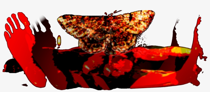 Ghosty Ocelot - Butterfly, transparent png #7689619