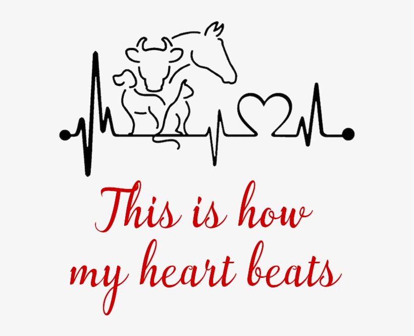 This Is How My Heart Beats - Dog Cat Horse Heartbeat Decal, transparent png #7691174